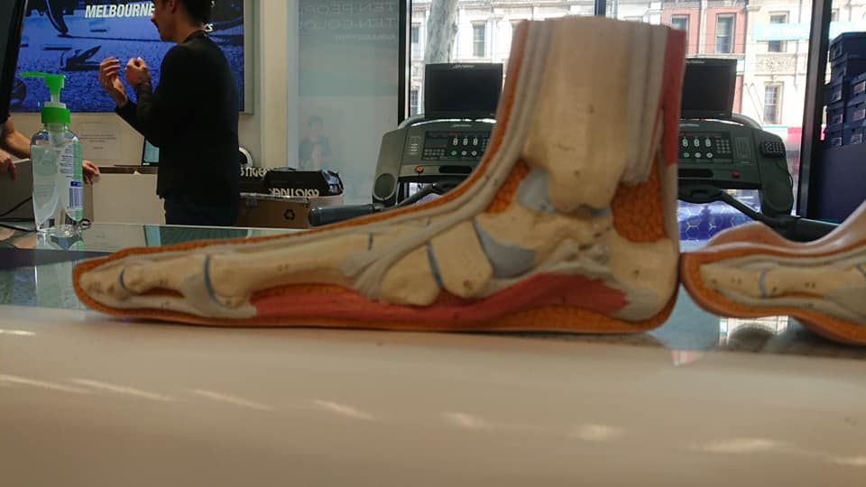 70424775 2388407347941004 2777227343670804480 n