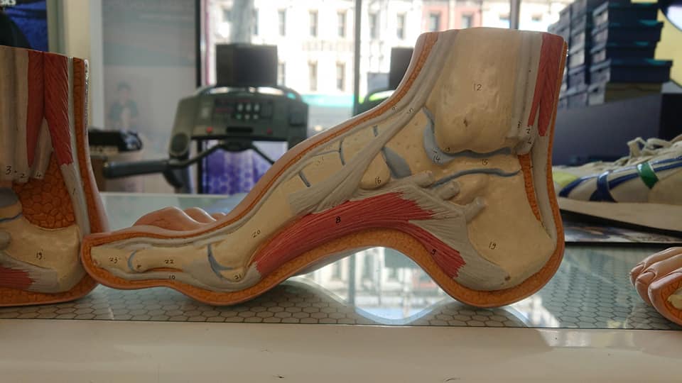 69867491 2388407211274351 1650556159486066688 n